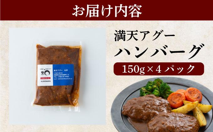 満天アグーと石垣牛のハンバーグ 150g×4 | ふるさと納税 沖縄県 石垣市 石垣 沖縄 石垣島 ふるさと 人気 送料無料 アグー 豚 豚肉 ポーク ハンバーグ 150g×4