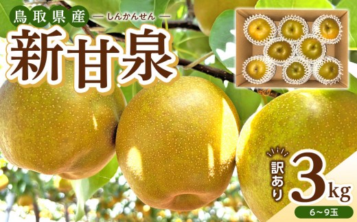 【2026年度発送先行予約】訳あり 新甘泉 3kg【梨 なし しんかんせん 5キロ 家庭用 訳アリ 令和8年 先行受付 新鮮 鳥取県産 鳥取県 北栄町 おすすめ 人気】