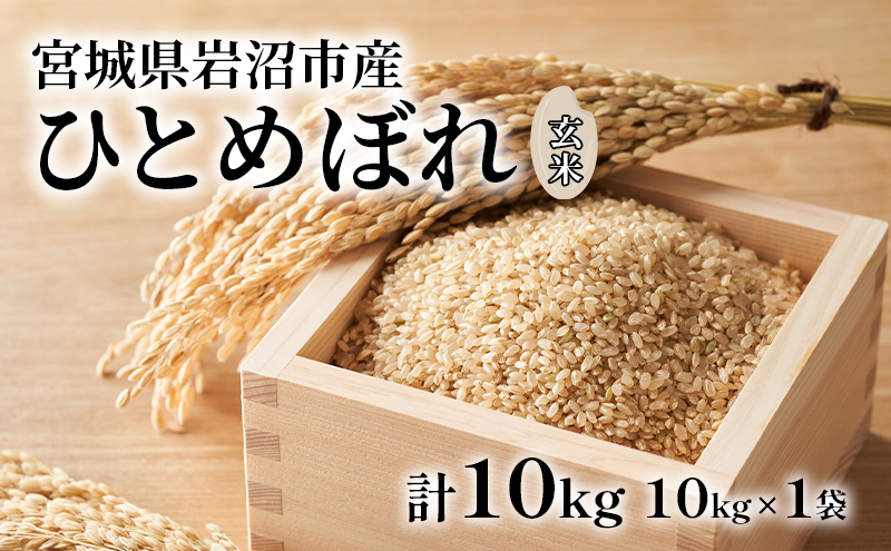 玄米 ひとめぼれ 10kg 宮城県産ひとめぼれ 米