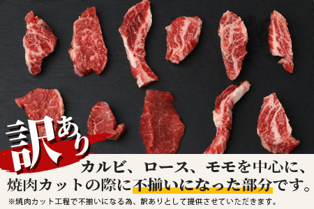 【訳あり】石垣牛 焼肉用　(不揃い)　500g【 訳アリ 沖縄県 石垣島 石垣牛 国産 黒毛和牛 牛肉 牛 和牛 焼肉 BBQ】AB-26