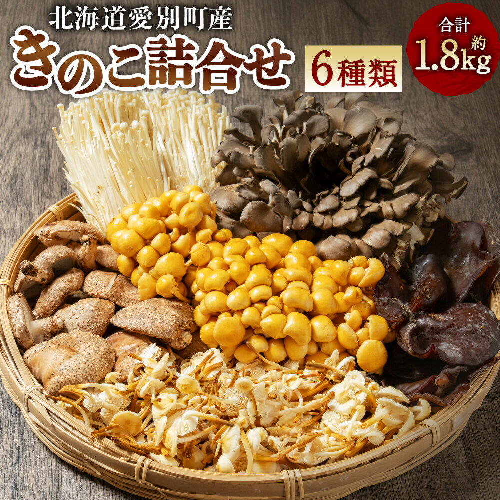 【ふるさと納税】きのこ詰合せ（6種類）セット　きのこ 舞茸 椎茸 エノキ 雪のした キクラゲ なめこ 【B05201】