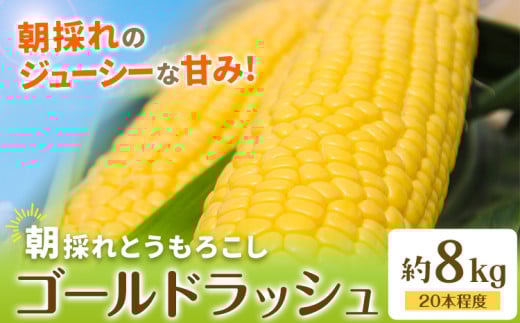 とうもろこし 約8kg(20本程度) 野木町産 老沼 利治《6月中旬-7月中旬頃出荷》栃木県 野木町 ジューシー 生食可能 旬の野菜 健康食 バーベキュー 焼き 茹で とうもろこし ゴールドラッシュ 黄色 イエロー 朝採れ クール便 先行予約 野菜 スイートコーン コーン