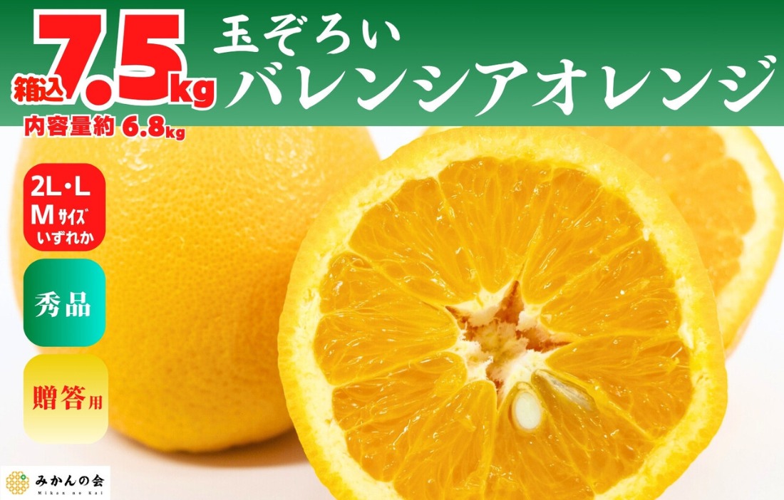 バレンシアオレンジ 国産 玉ぞろい 秀品 箱込 7.5kg (内容量 6.8kg ) 2L L M サイズのいずれか 和歌山県産 産地直送【みかんの会】 AX408