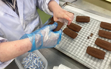 【全12回定期便】焼き菓子ギフトA / 焼き菓子 ギフト 詰め合わせ / 瀬戸市 / 社会福祉法人くわの実福祉会かいこ[BBBU011]