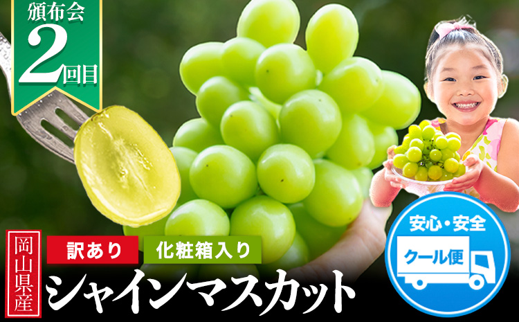 岡山県産 旬の 人気 くだもの おすすめ 定期便 全2回 桃 合計1.3kg シャインマスカット 合計1.3kg《7月上旬～11月中旬頃より発送予定》フルーツ 果物 定期便 先行予約 お取り寄せ デザ