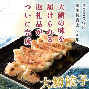 FKP9-580 球磨川大鱒餃子(6パック)