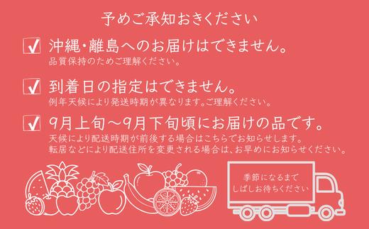 皮が薄く傷つきやすいため丁寧に袋をかけて育てています。