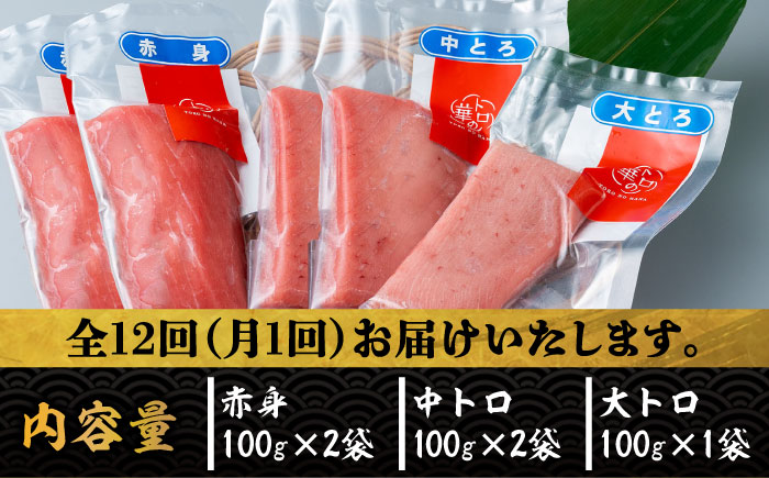 【全12回定期便】対馬産 本マグロ 500g（赤身200g、中トロ200g、大トロ100g）≪対馬市≫【桐谷商店】 トロの華 対馬 新鮮 マグロ 大トロ 鮪 刺身 鮮度抜群 [WAQ058]
