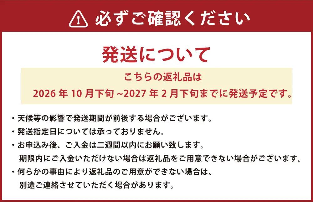 熊本市産 【手選別まごころ選果】 みかん 6kg サイズ2Ｌ～S  蜜柑 ミカン フルーツ 果物 くだもの 柑橘 熊本産 九州産【2026年10月下旬～2027年2月下旬迄発送予定】