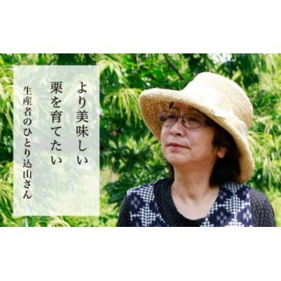 ふるさと納税 小布施町 小布施栗(無燻蒸生栗) 約2kg |  | 01