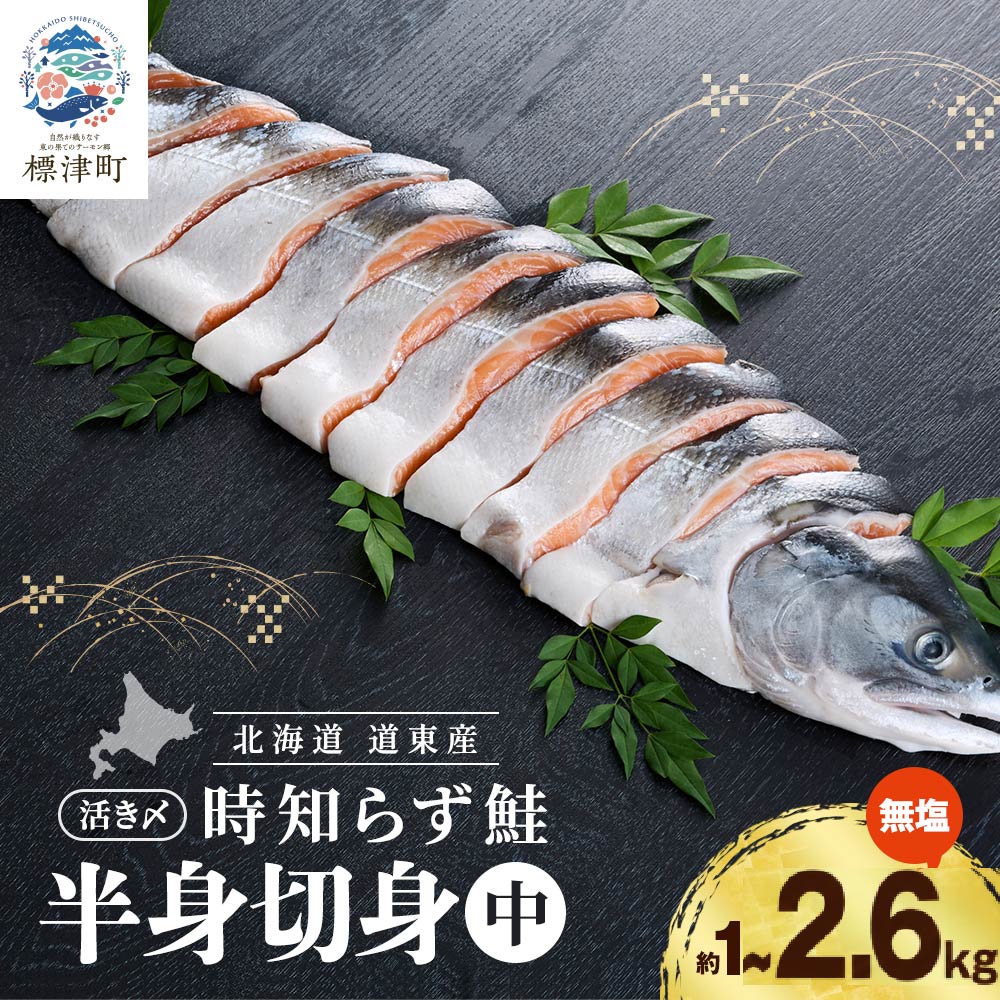 【ふるさと納税】 北海道産 鮭 切身 選べる 約1.0kg~2.6kg 時知らず 国産 半身 活き〆 人気 おすすめ 無塩 味付けなし さけ サケ しゃけ ときしらず トキシラズ 時知らず鮭 冷凍 真空パック パック 小分け 使いやすい 1kg【配送不可地域：離島】