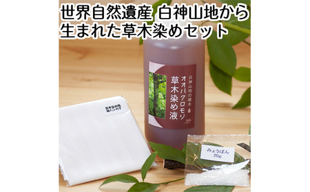 草木染めセット 白神山地 ファッション小物 草木染めセット