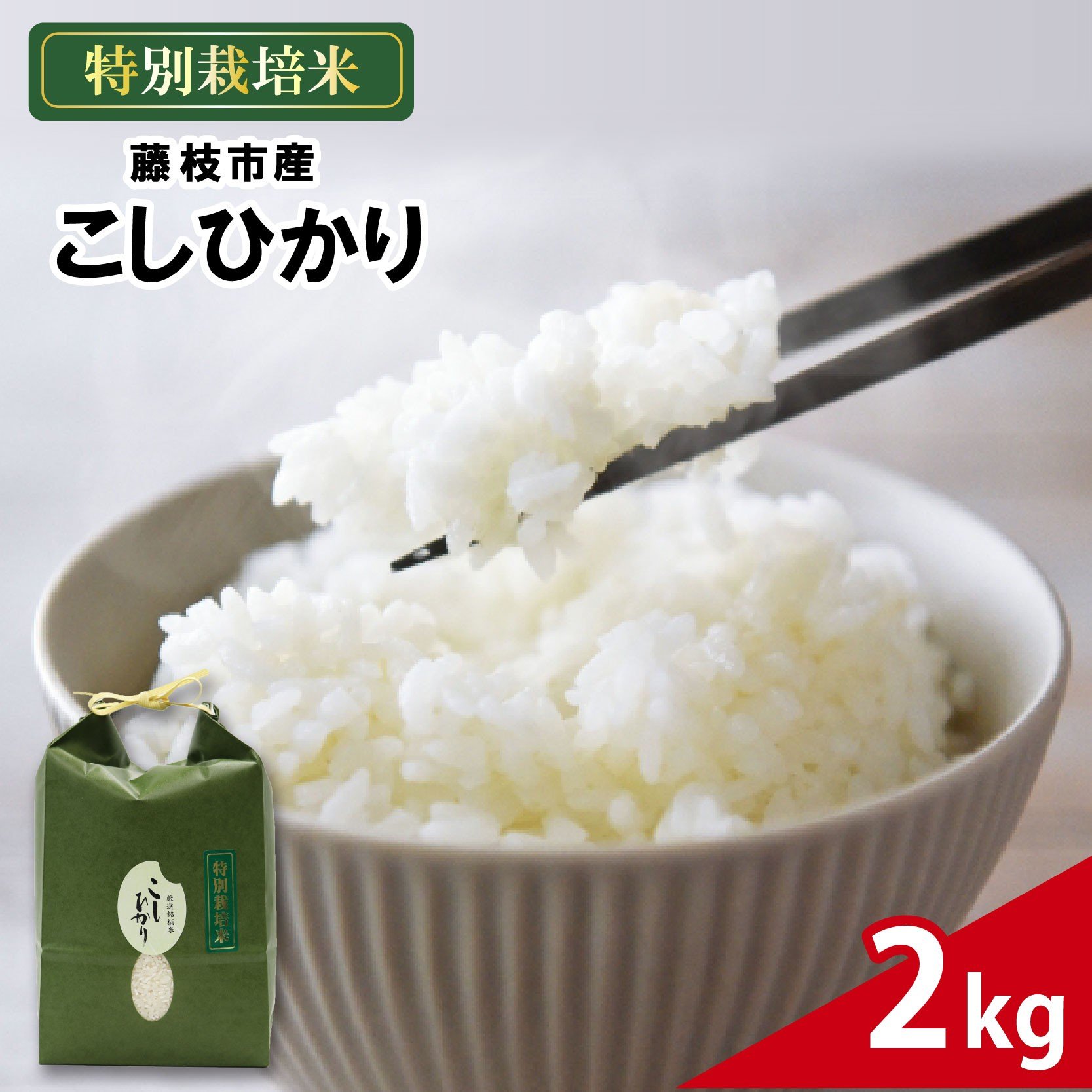 
            米 こしひかり 2kg 農家直送 特別栽培米 コシヒカリ 精米 お米 酢飯 新生活 贈り物 人気米 ご飯 白米 コメ 贈答 静岡県 藤枝市
          
