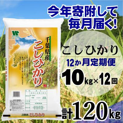 ふるさと納税 大網白里市 【毎月定期便】コシヒカリ 精米 10kg (5kg×2袋)全12回