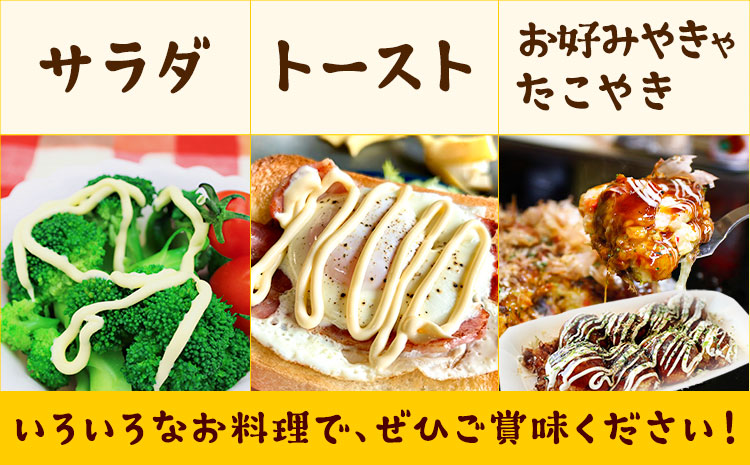 味宝卵使用 卵黄のみ たまご屋さんの濃厚 マヨネーズ 300g 2本 野上養鶏場《60日以内に出荷予定(土日祝除く)》福岡県 鞍手町 味宝卵 卵黄 濃厚 マヨネーズ マヨ サラダ ディップ トースト 
