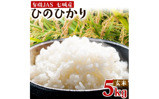 令和7年産 有機JAS 七城産ひのひかり 玄米 5kg 渡辺農産《30日以内に出荷予定(土日祝除く)》熊本県 菊池市 米 お米 精米 ひのひかり 菊池市産 熊本県産 九州産 送料無料