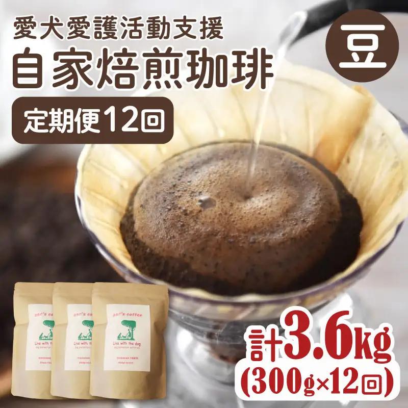 コーヒー豆 【定期便12か月】ann's cafe 100g×3種 コーヒー豆