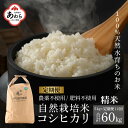 【ふるさと納税】【先行予約】【定期便12回】令和6年産 新米 コシヒカリ精米 5kg×12回 伊与衛門農園の自然栽培米 ＜温度と湿度を常時管理し新鮮米を出荷！＞/ 米 白米 高品質 鮮度抜群 ブランド米 福井県あわら市産 スマート農業 ※2024年10月中旬以降順次発送予定