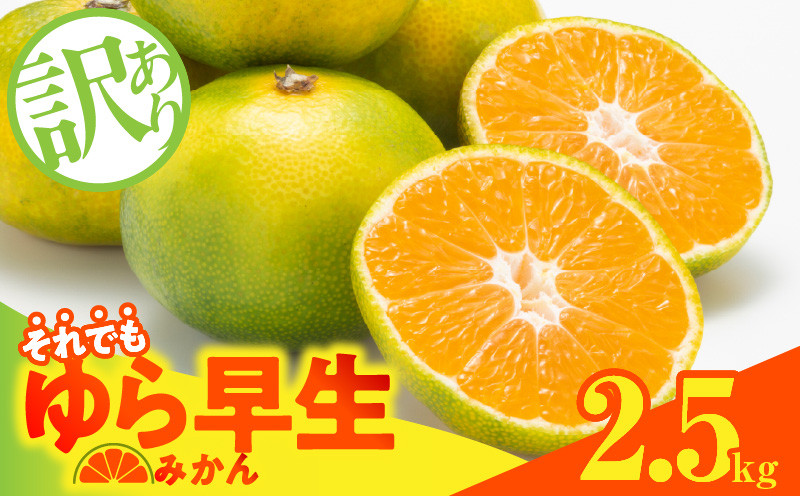
                  【2026先行予約】訳あり ゆら早生 みかん 箱込 2.5kg ( 内容量 2.3kg ) サイズミックス 有田みかん 和歌山県産_MK1069
                