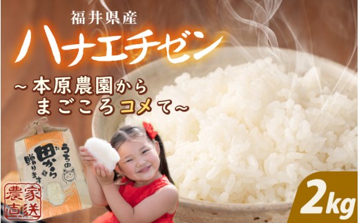 【先行予約】【令和8年産・新米】 ハナエチゼン 2kg (1袋) 【白米】 ～本原農園からまごころコメて～ 【2026年9月上旬以降順次発送予定】【お米 白米 はなえちぜん 精米 ブランド米 ごはん ご飯 おいしい ふるさと納税米 産地直送】 [A-8988]