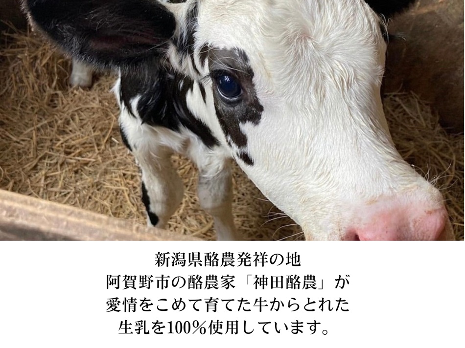 ソフトクリーム「子牛のきもち・ミルク」6個セット 神田酪農 2K02009