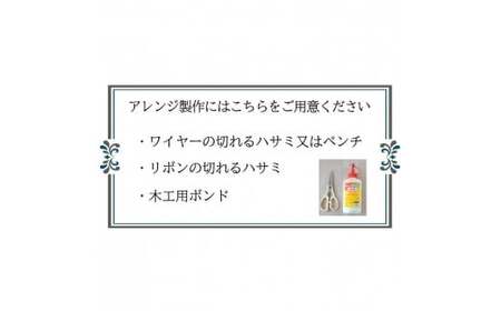 【手作りキット】 全6色 プリザーブドフラワーアレンジ「セディ」【 レッド 】