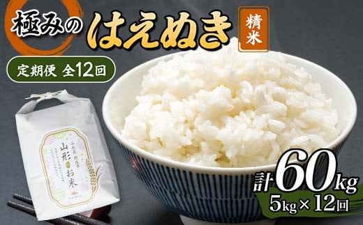 
            定期便 全12回 極みのはえぬき（精米）5kg 米 お米 おこめ 山形県 F3S-2421
          