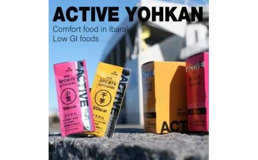 ACTIVE YOHKAN(小豆/干芋)_菓子・スイーツ 羊羹  ようかん ヨウカン_【1403779】