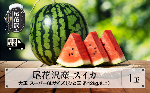 先行予約 尾花沢産スイカ スーパー6Lサイズ 約12㎏以上×1玉 7月下旬～8月中旬頃発送 令和9年産 2027年産 尾花沢産 スイカ すいか 西瓜 果物 くだもの フルーツ 観光物産 kb-sus6x1