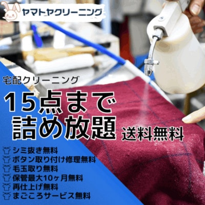 宅配クリーニング15点コース(最長10ヶ月の保管サービス)ボタン修理・毛玉取り付き!【配送不可地域：離島・沖縄】【1525273】