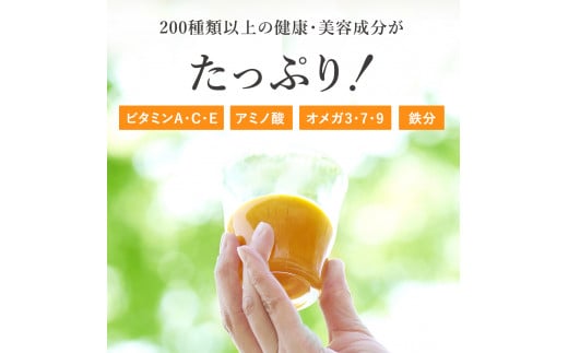  サジージュース 100% 1000ml×3本セット | サジー シーベリー 沙棘 グアマラル 健康ドリンク 健康 美容 栄養 果汁 鉄分補給 栄養補給 健康食品 ギフト 贈答 プレゼント ご褒美 お