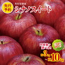 【ふるさと納税】*【2025年先行予約】 外川果樹園 訳あり シナノスイート 選べる 約 10kg 5kg 3kg｜ リンゴ りんご 林檎 果物 フルーツ 果実 果汁 シナノスイート しなのすいーと わけあり 訳アリ 長野県 松川村 信州