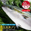 【ふるさと納税】【11/1～1/15お届け 年末年始用】天然 寒ブリ（10キロ台・丸もの） 《壱岐市》【壱岐島　玄海屋】[JBS034] ぶり 寒ぶり ブリ 魚 刺身 しゃぶしゃぶ 300000 300000円 30万 のし プレゼント ギフト 冷蔵配送