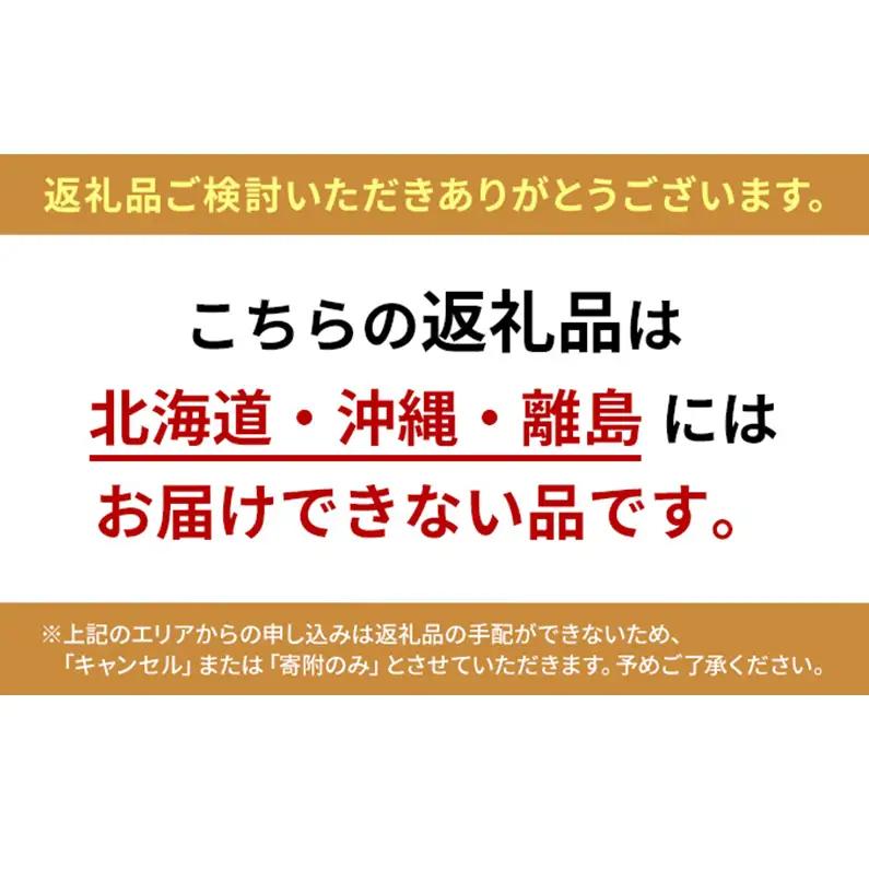 ぶどう 2026年 先行予約 赤秀ぶどう プレミアム シャインマスカット 晴王 1房 700g 9月～10月発送  岡山県産 シャインマスカット