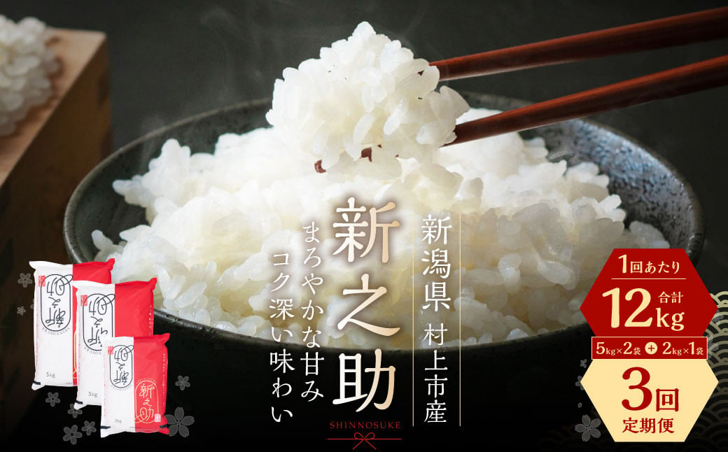 【令和5年産米】【定期便：3ヶ月連続でお届け】 村上市産 新之助 36kg （12kg×3ヶ月）コース