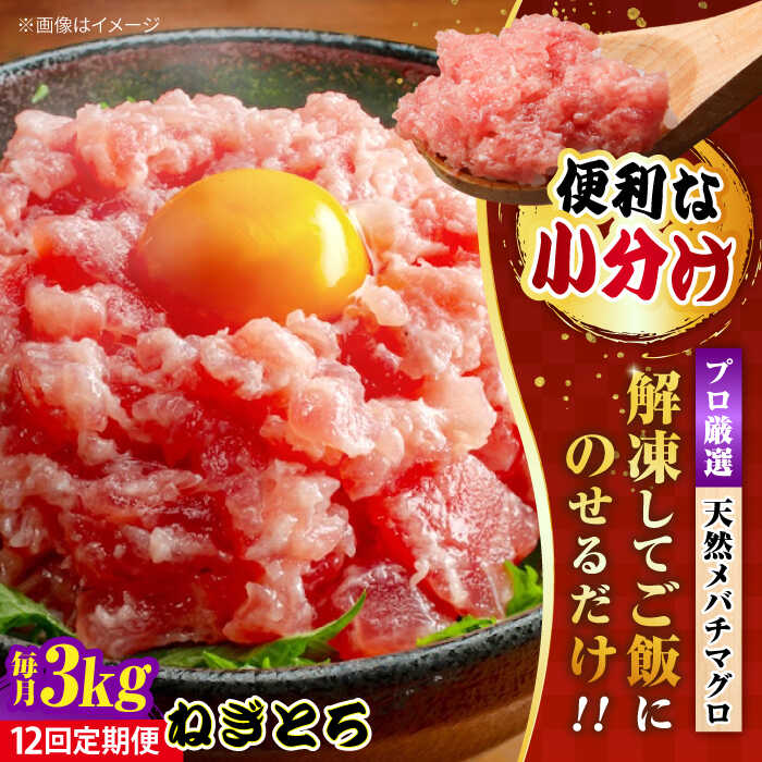 【ふるさと納税】【全12回定期便】まぐろ ねぎとろ 約3kg（約250g×12パック） 鮪 マグロ 魚 ネギトロ 横須賀【本まぐろ直売所】[AKAK043]