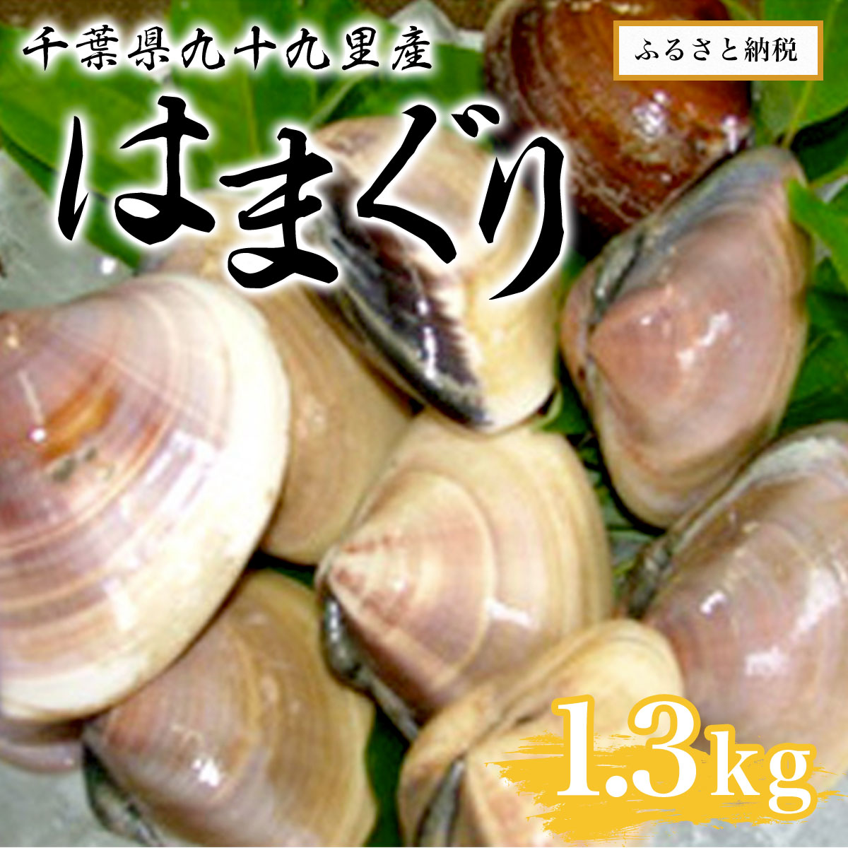 千葉県九十九里産はまぐり1.3kg ／ 魚介 貝 ハマグリ 国産 砂抜き済み 送料無料 千葉県