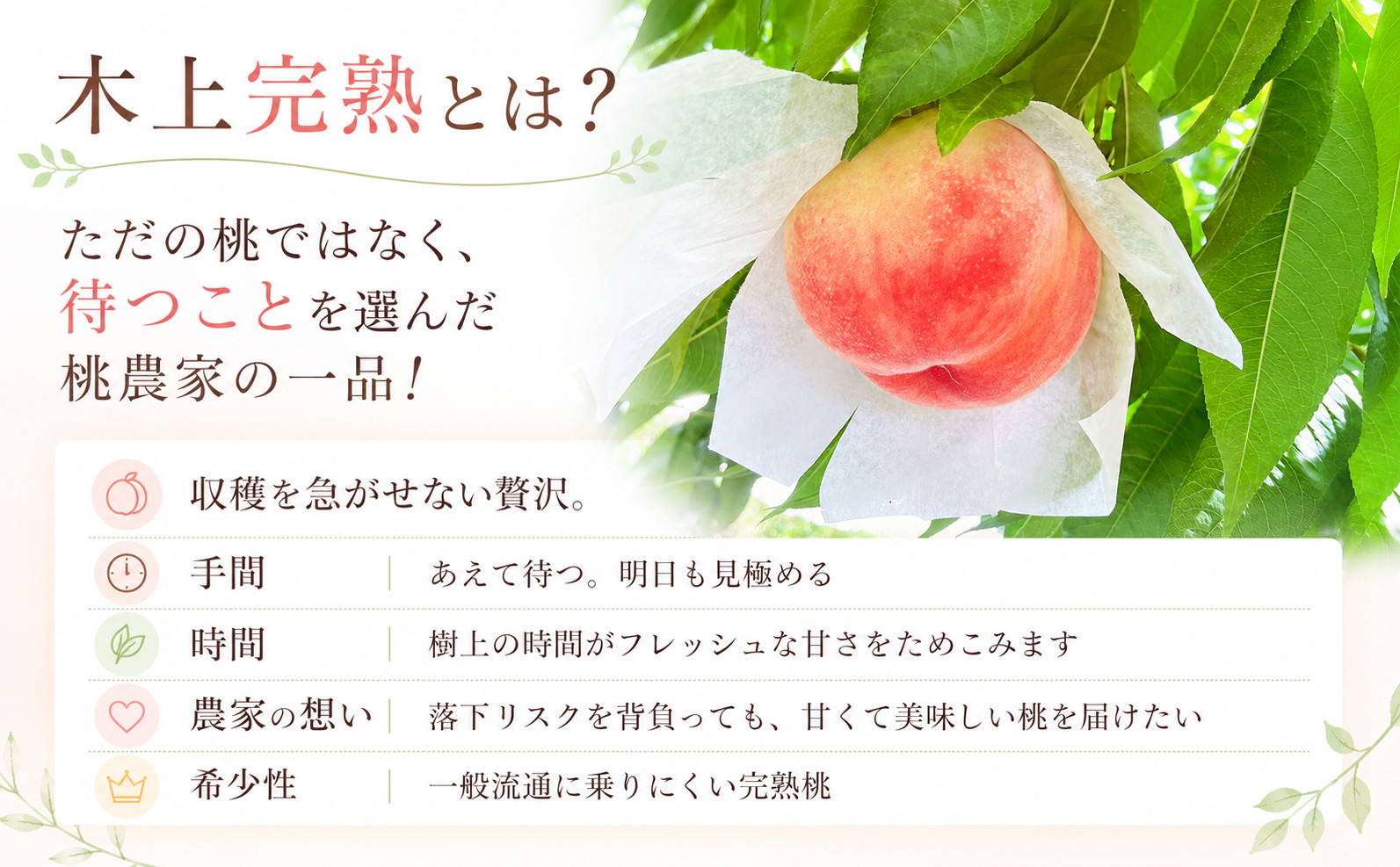 桃 約4㎏ 完熟桃 おすすめ 桃 モモ 果物 フルーツ ピーチ ゼリー アイス ジェラート ケーキ ジュース ジャム タルト デザート スイーツ おやつ 人気 おすすめ 家庭用 お取り寄せ 高級 送料