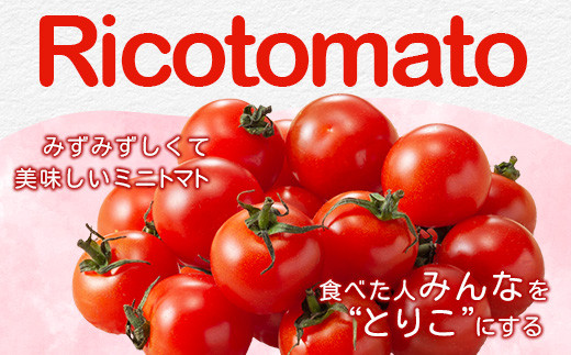 完熟したリコピンをはじめビタミンたっぷりのトマトを一度食べれば、きっとあなたも"とりこ"になるはず。 
