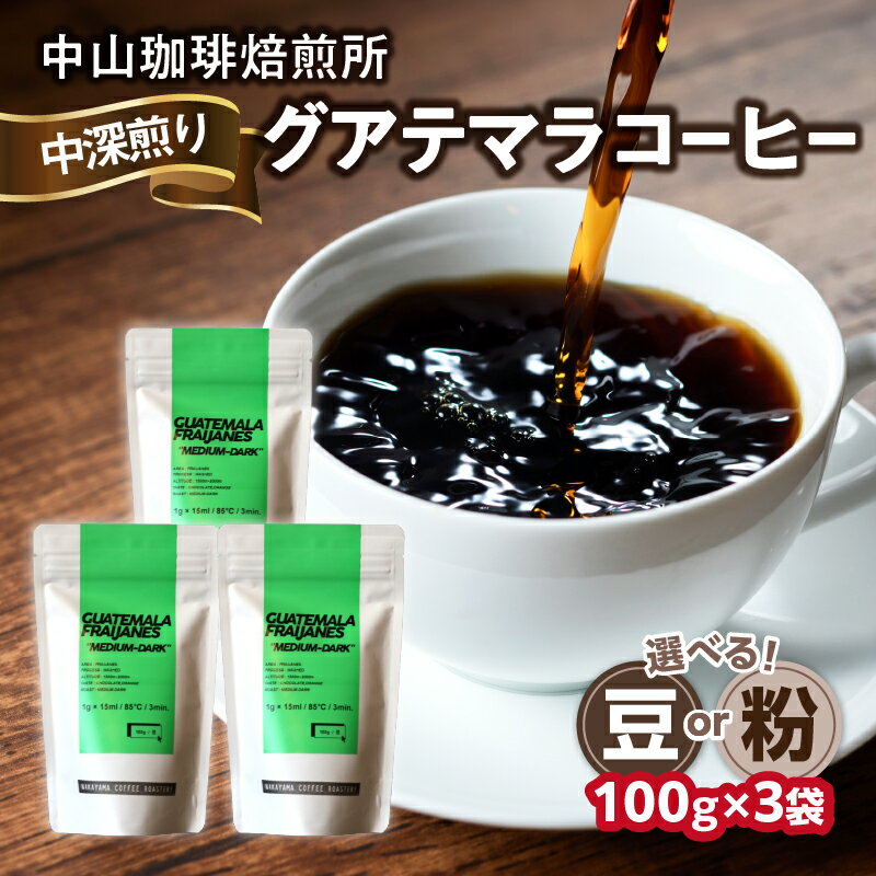 【ふるさと納税】 自家焙煎コーヒー 中深煎り グアテマラ 100g×3袋 選べるタイプ【豆or粉】コーヒー豆 珈琲 コーヒー コーヒー粉 100g×3袋 合計300g