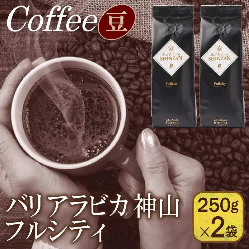 バリアラビカ神山フルシティ 250g×2袋／豆 