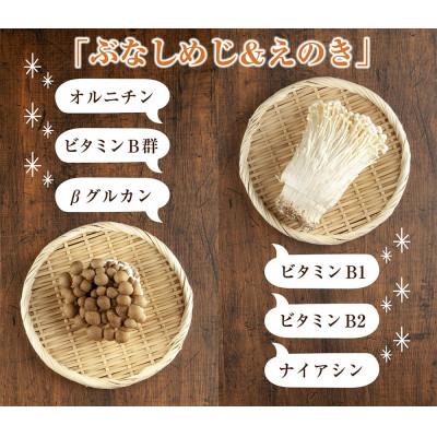 ふるさと納税 十日町市 はぴふるの国産乾燥きのこ 2種 ぶなしめじ 30g えのき 50g 各1袋 新潟県十日町市 |  | 01