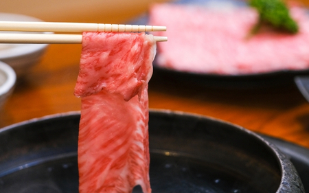 （冷凍）伊賀肉 森辻の伊賀牛A5　しゃぶしゃぶ用（肩ロース）約500g【mrtj0003-2】
