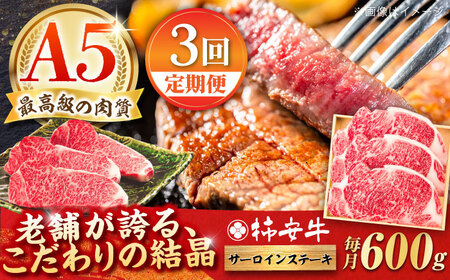 【3回定期便】最高級A5等級 三重県産 黒毛和牛 柿安牛 サーロインステーキ 600g / 国産牛 和牛 ブランド牛 牛肉 冷蔵 高級肉 ギフト 贅沢 / 亀山市 / 柿安本店 [AMBW024]