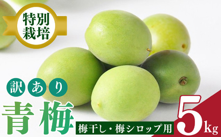 【堀内果実園】特別栽培・青梅・訳あり・B 品（5kg）