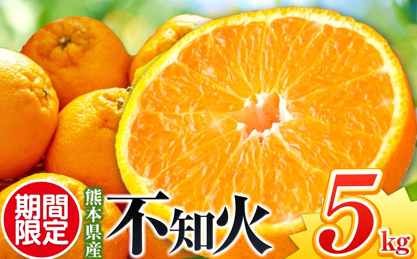 
                  【先行予約】【秀品】不知火 5kg | 熊本県 熊本 くまもと 和水町 なごみ 柑橘 柑橘類 果物 フルーツ 季節の果物
                