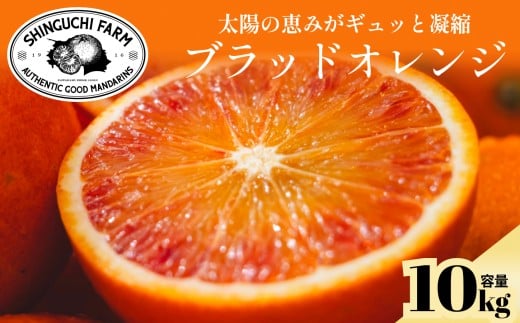 創業百八年 愛媛みかんの老舗＜ブラッドオレンジ 10kg＞ 新口農園＜G70-19＞【1470694】