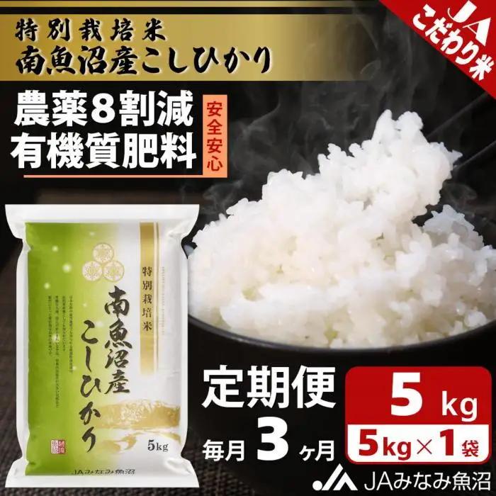 【JAみなみ魚沼定期便】特別栽培米南魚沼産こしひかり8割減（5kg×全3回）精米  ｜こしひかり