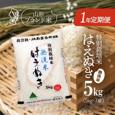 ふるさと納税 庄内町 &lt;11月開始&gt;庄内米1年定期便!特別栽培米はえぬき無洗米 5kg(入金期限:2025.10.25)