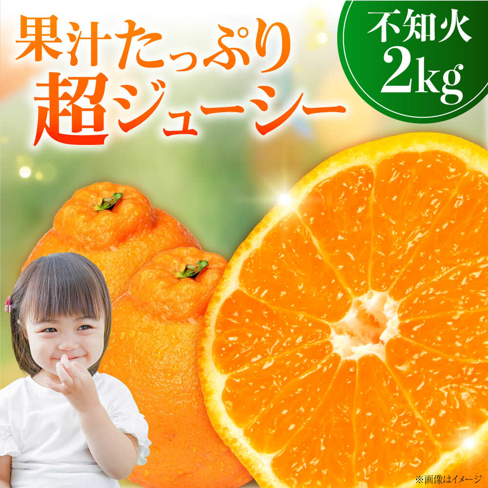 【ふるさと納税】不知火 2kg しらぬい 小玉 デコポン 江田島市産 広島 みかん ミカン 柑橘 柑橘類 果物 くだもの フルーツ オレンジ 蜜柑 柑橘 先行予約 ジュース 果実 甘味 酸味 家庭用 濃厚 デザート 旬 国産 江田島市/ハルテラス農園[XCX002]